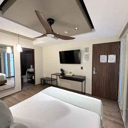 Casa Olea
