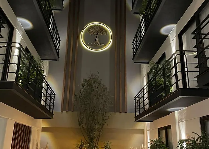 Casa Olea Mexico City
